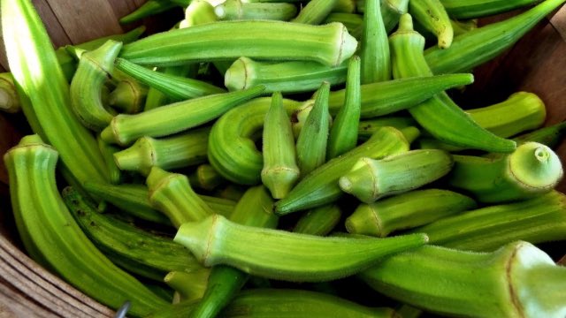 Les Africains introduit gombo (aussi appelé gombo , les gousses comestibles), ackee (fruit rouge et jaune), taro (une racine comestible), pois congo (graines d'un arbuste africain), et diverses épices à l'alimentation