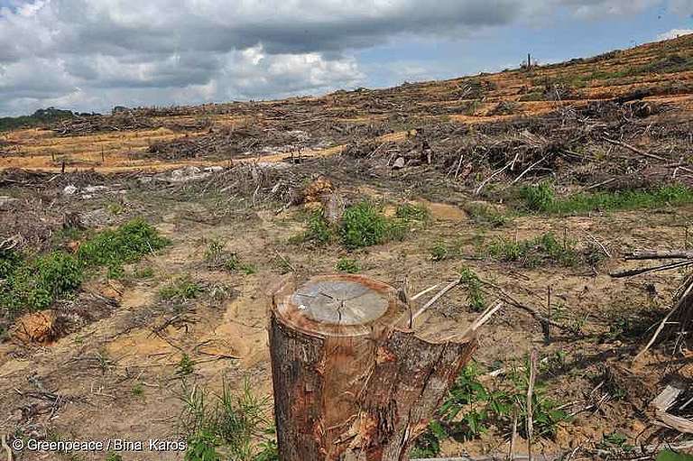 Abbiamo depredato la Natura, distrutto le Foreste, aggredito gli habitat. L’equilibrio alterato fra uomo e Natura non ha fatto altro che incrementare il rischio di zoonosi nel mondo. #IlPianetaContro #Atlantide