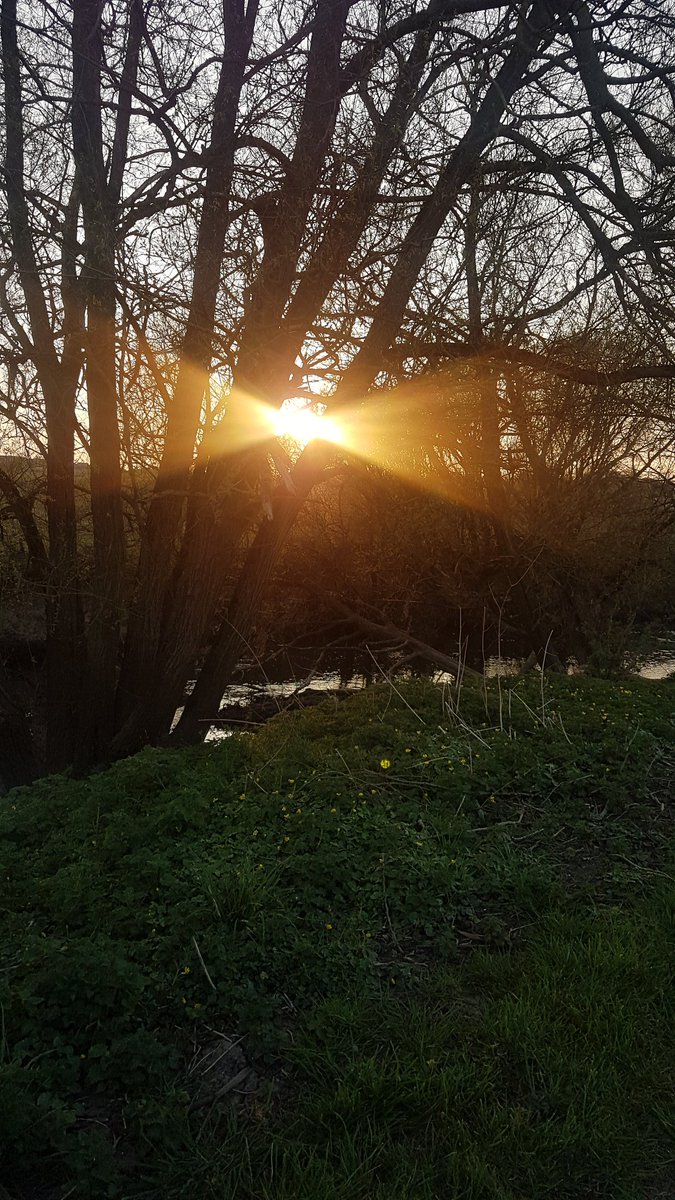 tashthirkettle's tweet photo. Olivia tried her hand at photography this evening, she asked me to share them with you @MrP_Badgers I think she did quite well. https://t.co/UO5E9AV9xp