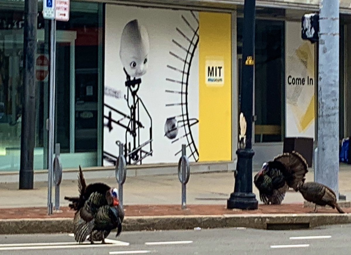 Driving along Mass Ave on Sunday afternoon, and was surprised to see a special event at the <a href="/MITMuseum/">MIT Museum</a>