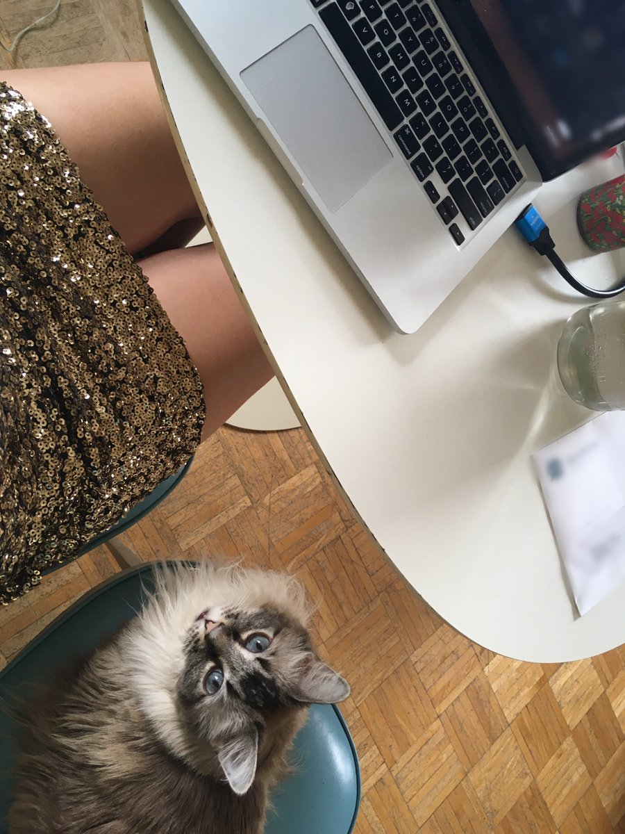 hilarysk's tweet image. Purr programming #catsintech #codingfromhome