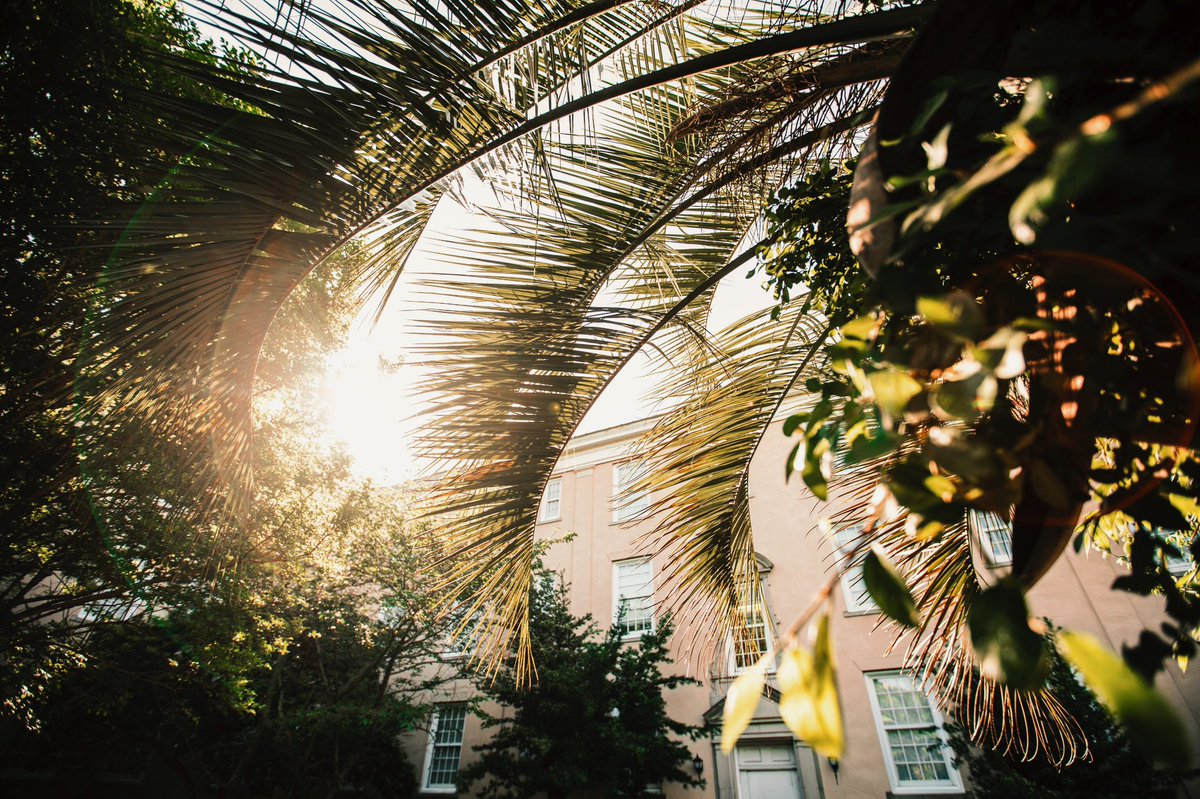 J_Reeves15's tweet photo. 8am on the Horseshoe // @UofSC https://t.co/SqFrC4q4wv