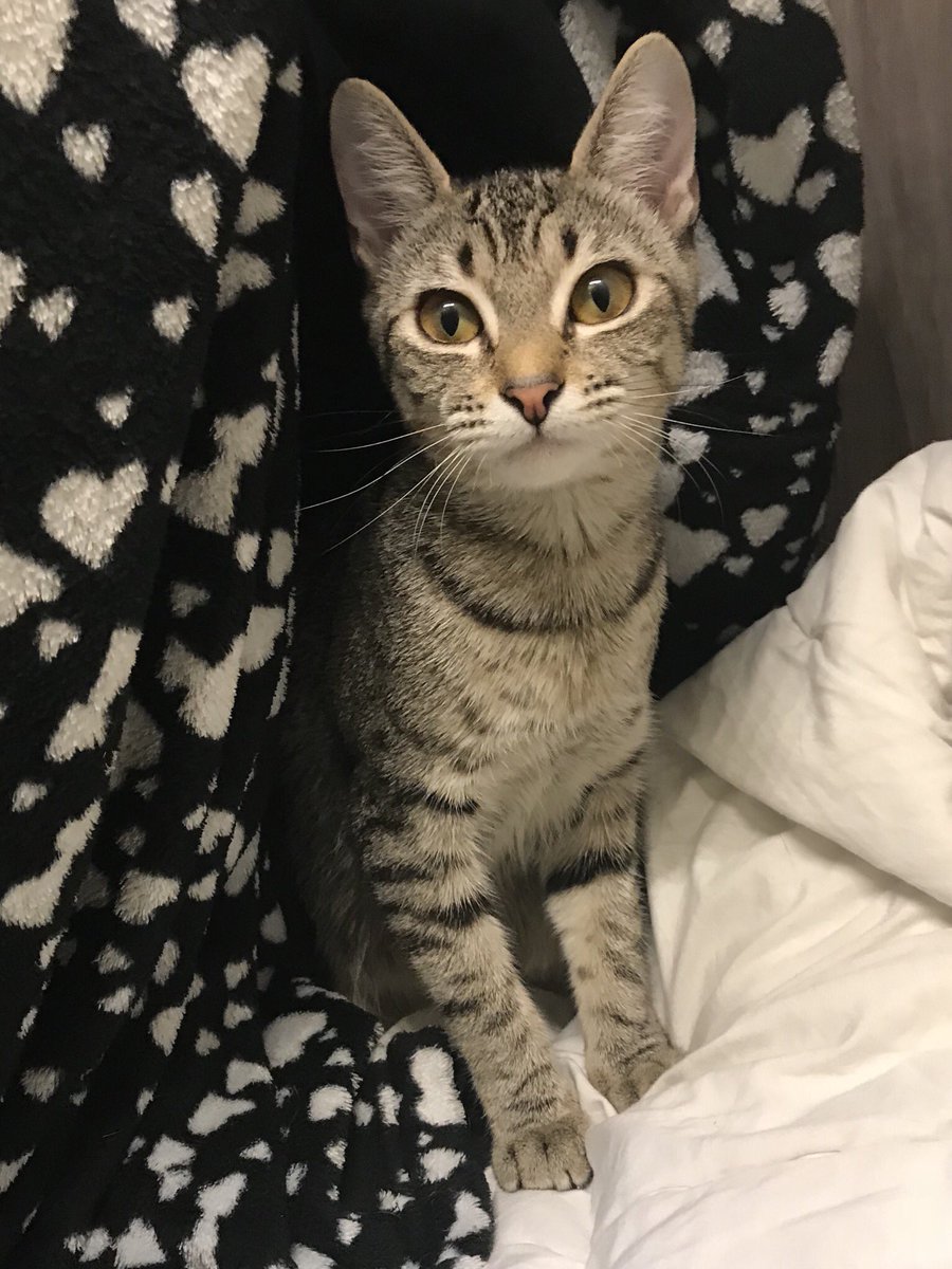 Fishy's tweet image. She’s growing up so fast o.O