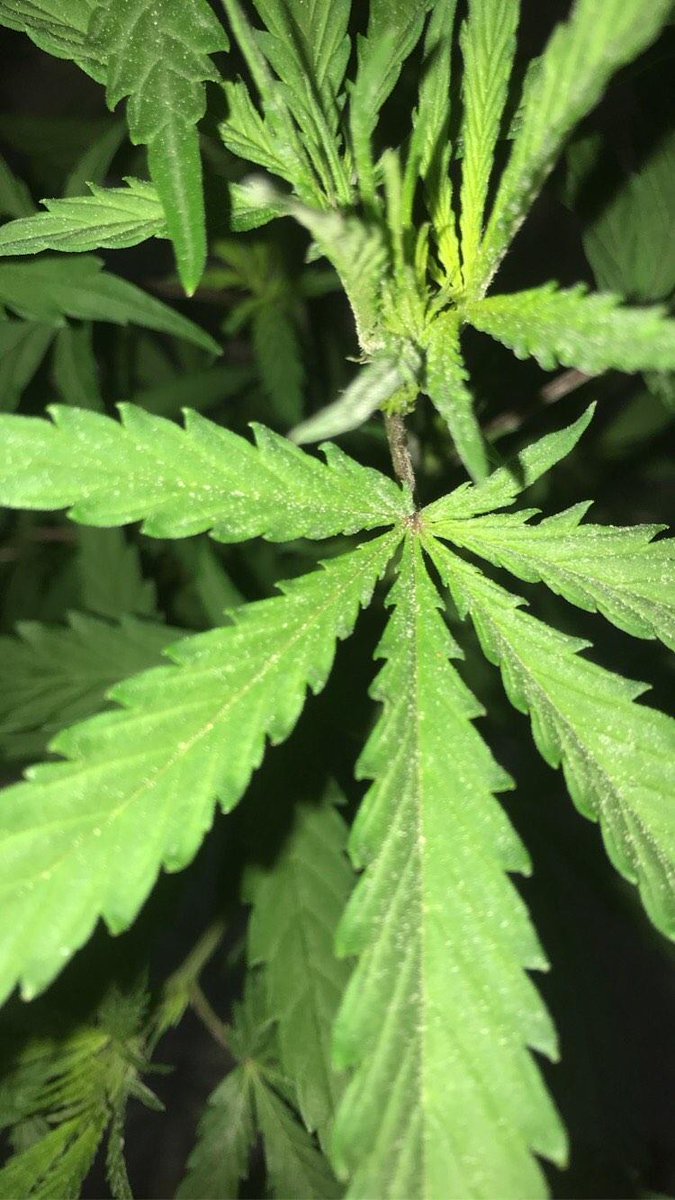 shotreturns2's tweet image. If you know you know😍