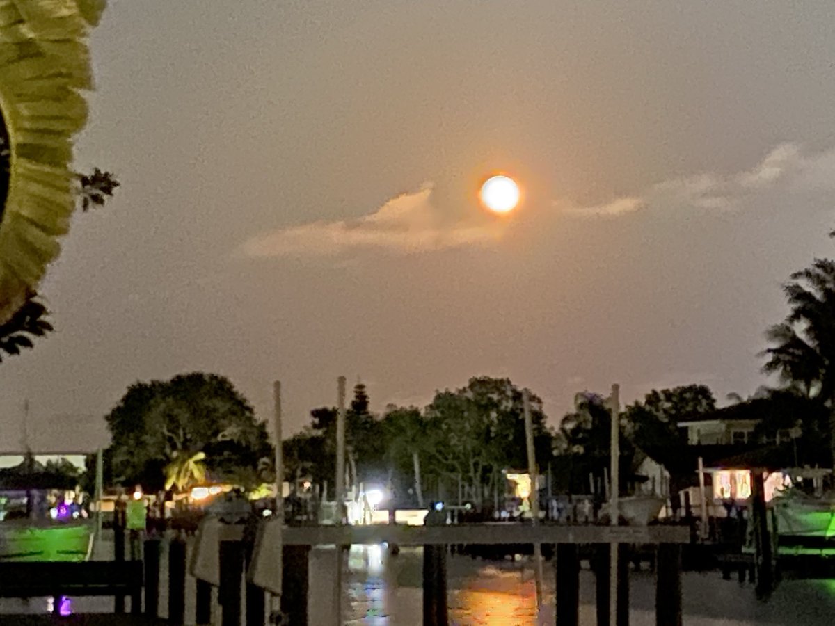 Tonight’s Orange Moon over St. Pete. Bright as the sun! <a href="/PaulFox13/">Paul Dellegatto⚡️FOX</a>