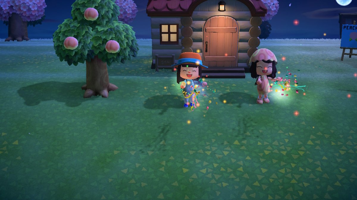 parlaykingtut's tweet photo. #AnimalCrossing #ACNH #NintendoSwitch
@casey_mb_13 https://t.co/8cTcw5hOvG