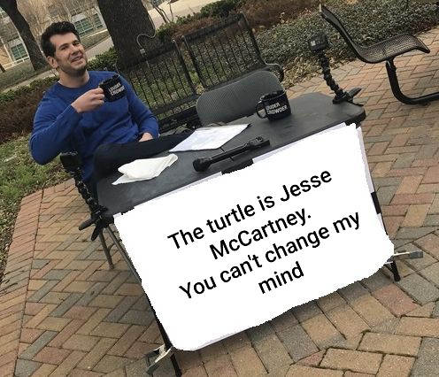 JA_Grinos's tweet photo. #maskedsinger @JesseMcCartney  stop playing, we know its you 🐢🐢🐢 https://t.co/uJjVhltO47