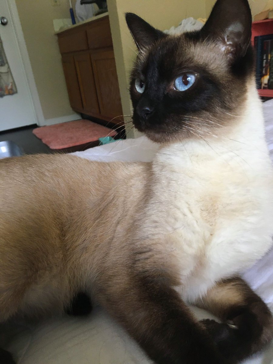 uamscott's tweet image. Caption this Photo:

#SpreadTheThread