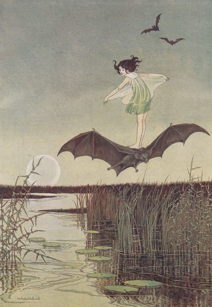 Ida Rentoul Outhwaite, circa 1925. 