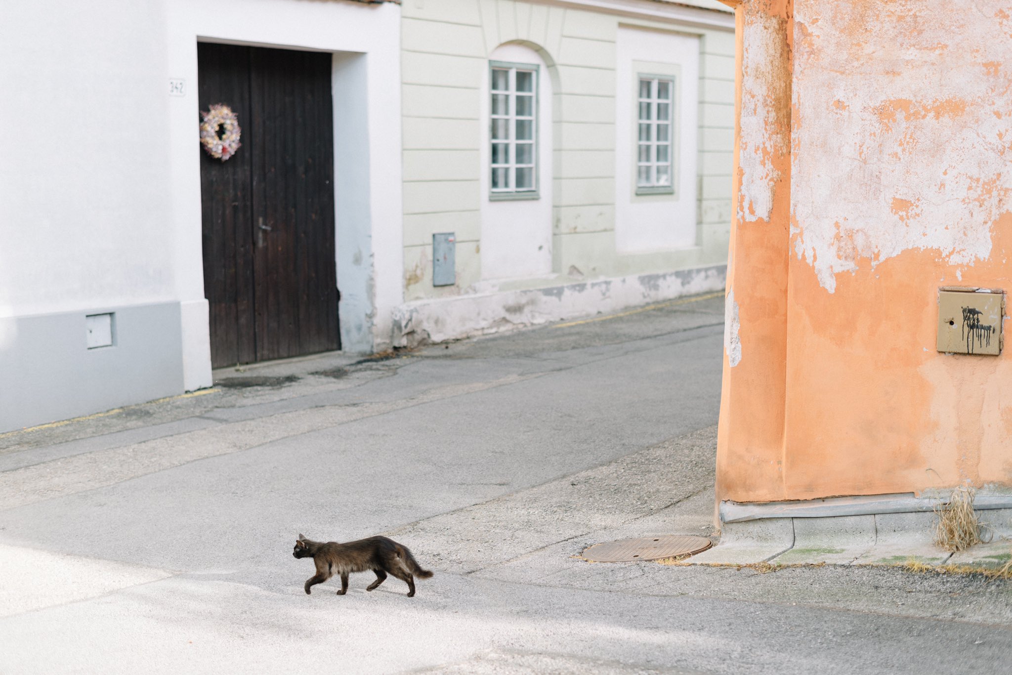 ハードカバー 濱田英明 濱田英明 on X: 