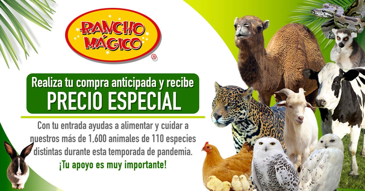 Adquiere tus entradas en línea con precio especial y visítanos a partir de nuestra reapertura y hasta diciembre de 2020. Gracias a tu apoyo seguiremos dandole los cuidados que siempre le hemos dado a todas nuestras especies. 🐰🐯🦁🐮🐷🐢🐊🐪🐓

ranchomagico.com.mx/boletos.html