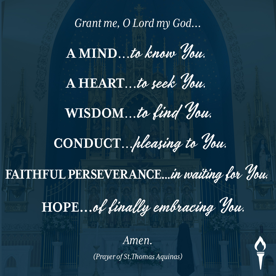 GoLEDigital's tweet photo. #prayer #stthomas #quote #qotd #catholic #hope #prayer #prayforcovid19 #lumenecclesiaedigital #ledigital #goledigital https://t.co/SwFgyhhUGX