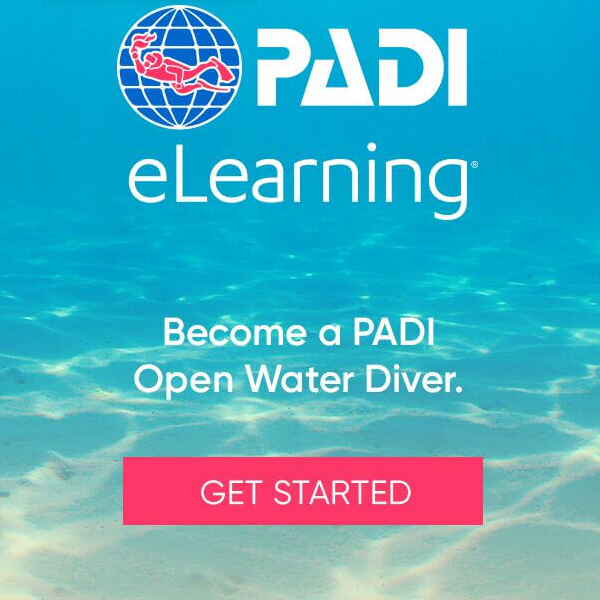 ScubaCenterMN's tweet photo. PADI Open Water Diver eLearning SALE:
Always wanted to start your family on the path to Scuba Certification? Make that time at home more interesting and sign up now.

SALE - Save 25%
Offer valid through Apr 30, 2020
Special Price: $146.25

Details at:
https://t.co/GiOA2evAYY https://t.co/fC766f6cKM