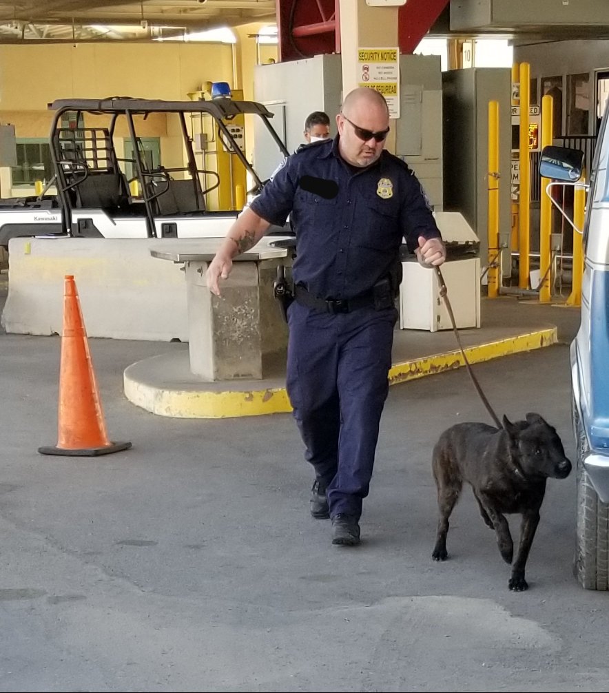 el-paso-dfo-hector-mancha-on-twitter-meet-narcotic-detector-dog-kyra