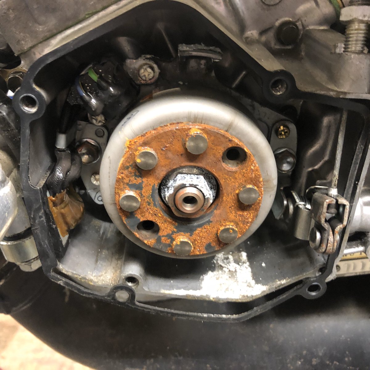 James Haydon tweet media