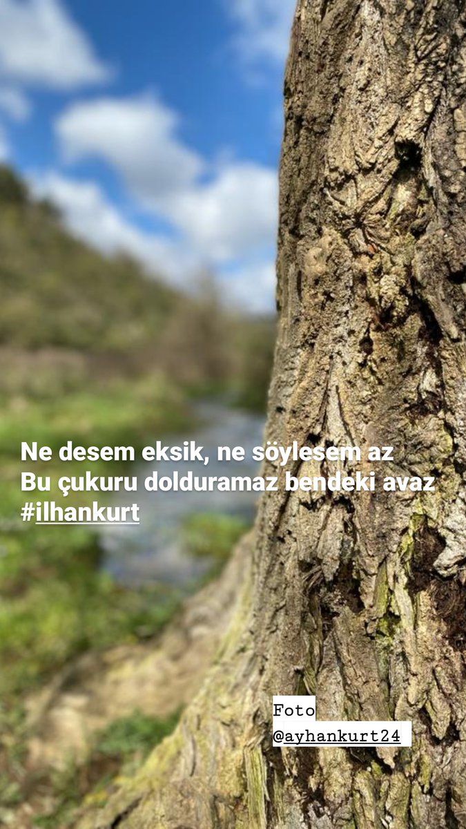 ilhankurt1024's tweet image. #avaz