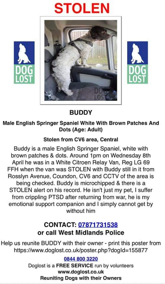 Buddy is a support dog so much more than a friend or family member. His human dad suffers with POST TRAUMATIC STRESS DISORDER.Buddy travels with him in the Van to help him cope with his PTSD. Today 08-04-2020 someone stole the van with Buddy in it. Approx time 1pm  #cv6  #Coventry