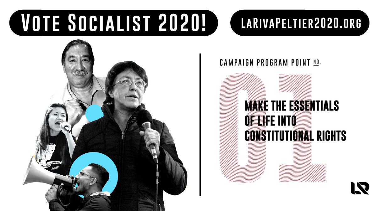 ★ 1: Make the essentials of life into constitutional rightsFood, housing, water, education, health care and a job or basic income must be guaranteed rights — distributed for human need, not for profit.  https://www.larivapeltier2020.org/point_1 