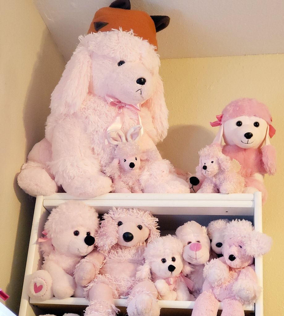 large pink poodle stuffed animal