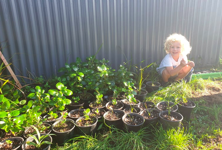 TreesThatCount's tweet photo. Taranaki Regional Advisor Sian Potier's kids are some of the luckiest around — here they are giving Mum a hand in their home native tree nursery. Isn't it great to see the whole whānau getting stuck in? 👍
#LoveNativeTrees #TreesThatCount #Lockdown #NewZealand #KeepingBusy https://t.co/7QePivs4Zc