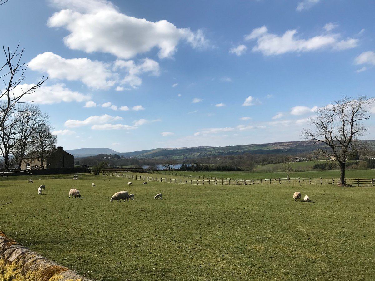 MaliniDey6's tweet photo. Taking in the beautiful views on my #exercisehour, featuring Pendle Hill in the background. 🐑🌳☀️
#StayHomeStaySafe #staylocal #workingfromhome https://t.co/2C4REdl4X6