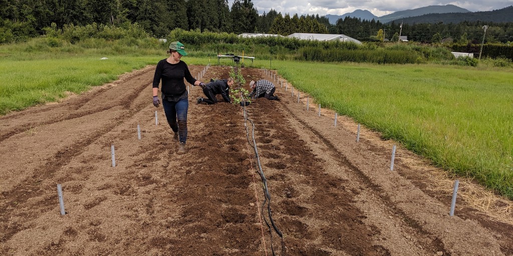 Join our team! We are currently recruiting for 2 Canada Summer Jobs funded positions: BC Seed Security Assistant and Marketing Assistant. Read about both opportunities on our website: ow.ly/5WTy50z9ldM (photo taken at a time before social distancing)