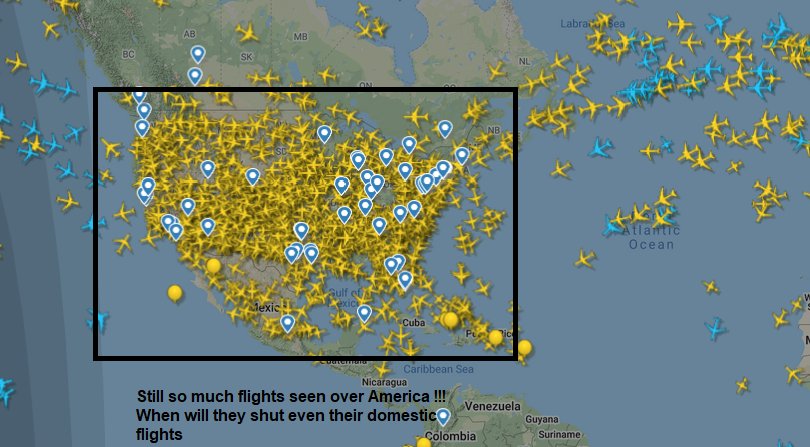 Inku_Darshu9's tweet photo. @realDonaldTrump please cancel all domestic flights https://t.co/9Rt0hgIJSw