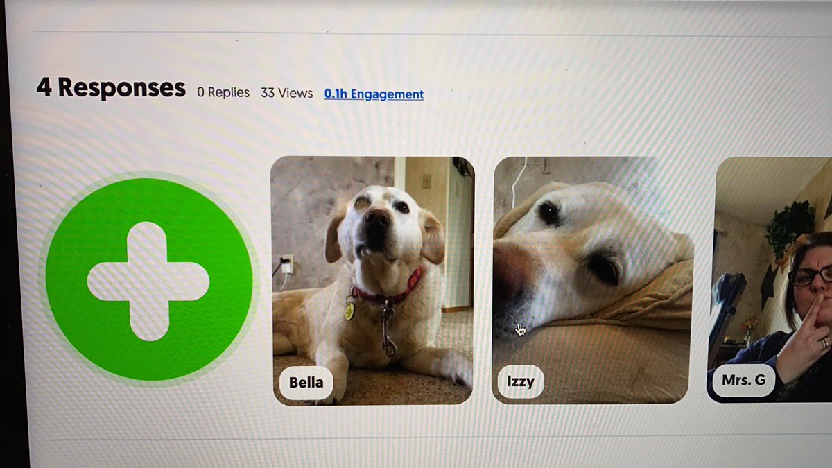 MrsGresser's tweet photo. #therapydogs Izzy & Bella connected with Ss through @Flipgrid today for One Word Wednesday. #relationshipsmatter #EverestPride #WeR6C https://t.co/ILNQf6QHIE