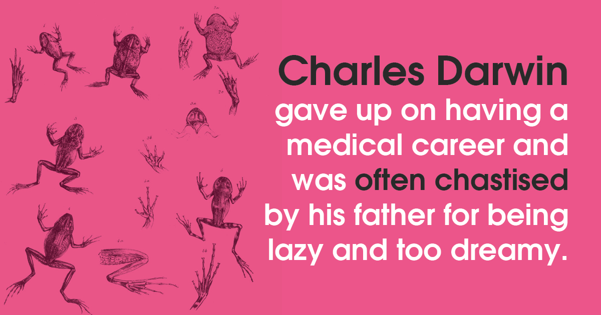 EsiColbert's tweet image. Never be afraid to fail.