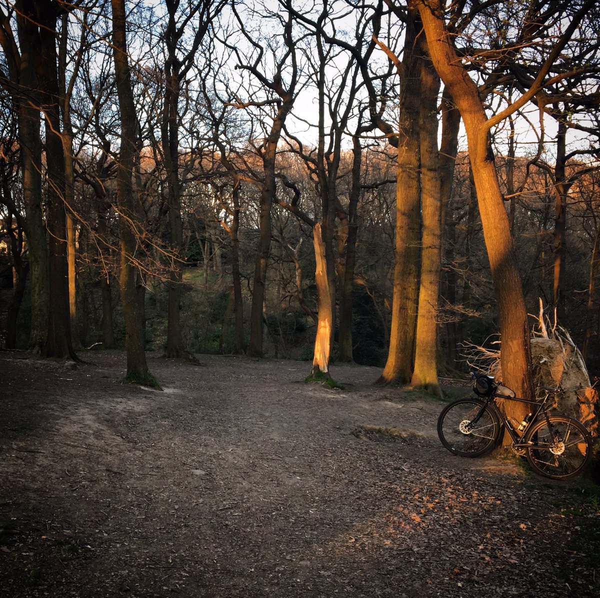 tpltravelled's tweet photo. Pack bike. Ride bike to woods. Ride bike back from woods. Unpack bike. Lay contents of bike luggage out on balcony. Get in. Star gaze. Sleep. // @apidura @keep_pedalling @Surly_Bikes #titaniumgoat #adventureathome https://t.co/hpiFQfthzd