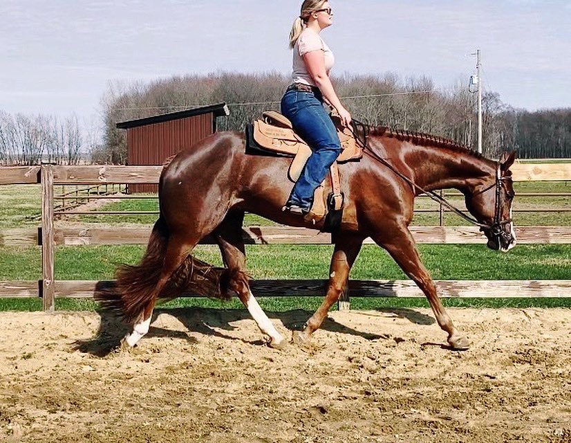 Big red horse is hoping y’all are social distancing cause he wants this quarantine lifted so he can go to a horse show