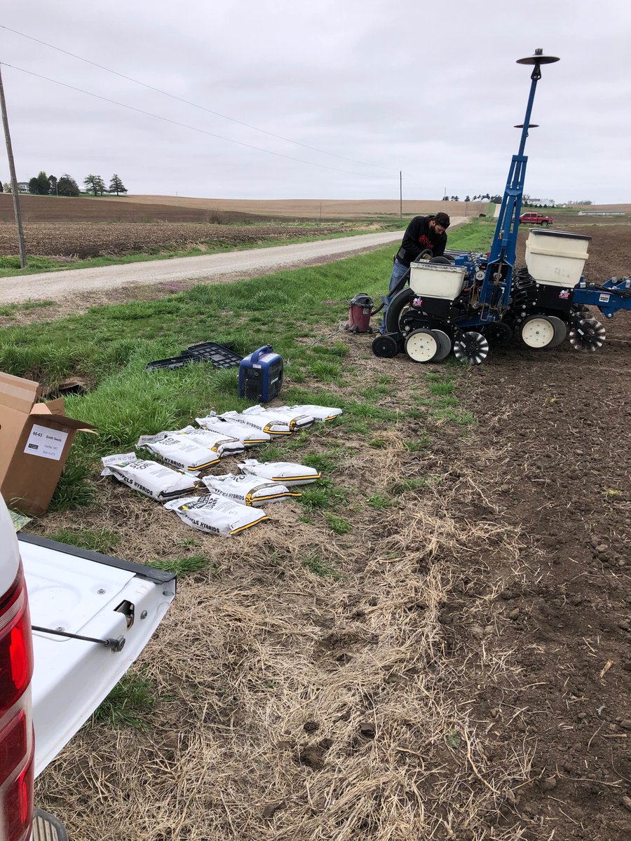 Wyffels Hybrids tweet media