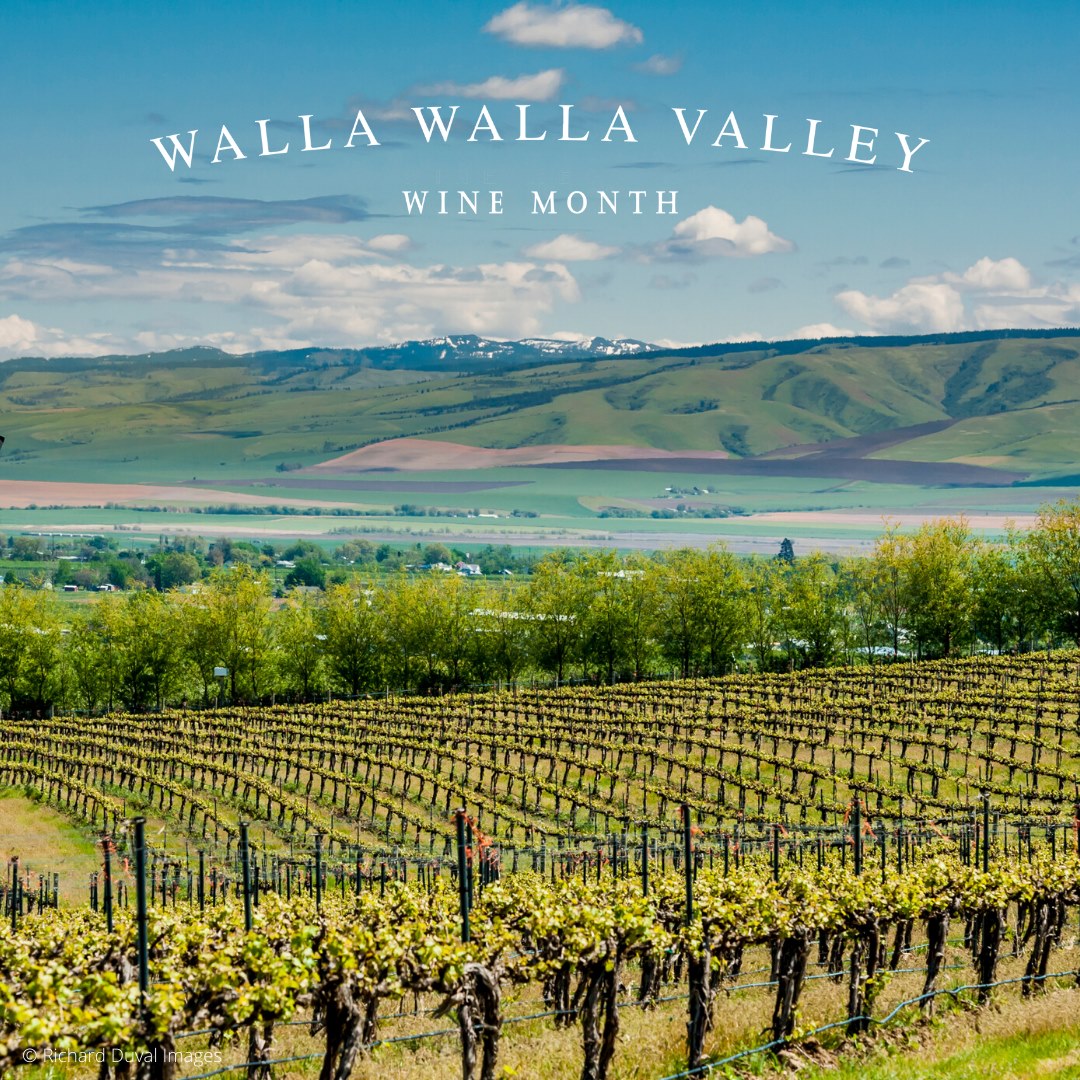 Eternal_Wines's tweet photo. Celebrate right from the comfort of your own home this year. We are still offering 19% online ordering!
#wawine #wines #winery #washingtonwine #wallawallawine #wallawalla #wallawine #winemaker #winemaking #washington #wineorder #washingtonstatewine #orderonline #winelove https://t.co/Gnm4WnI0mL