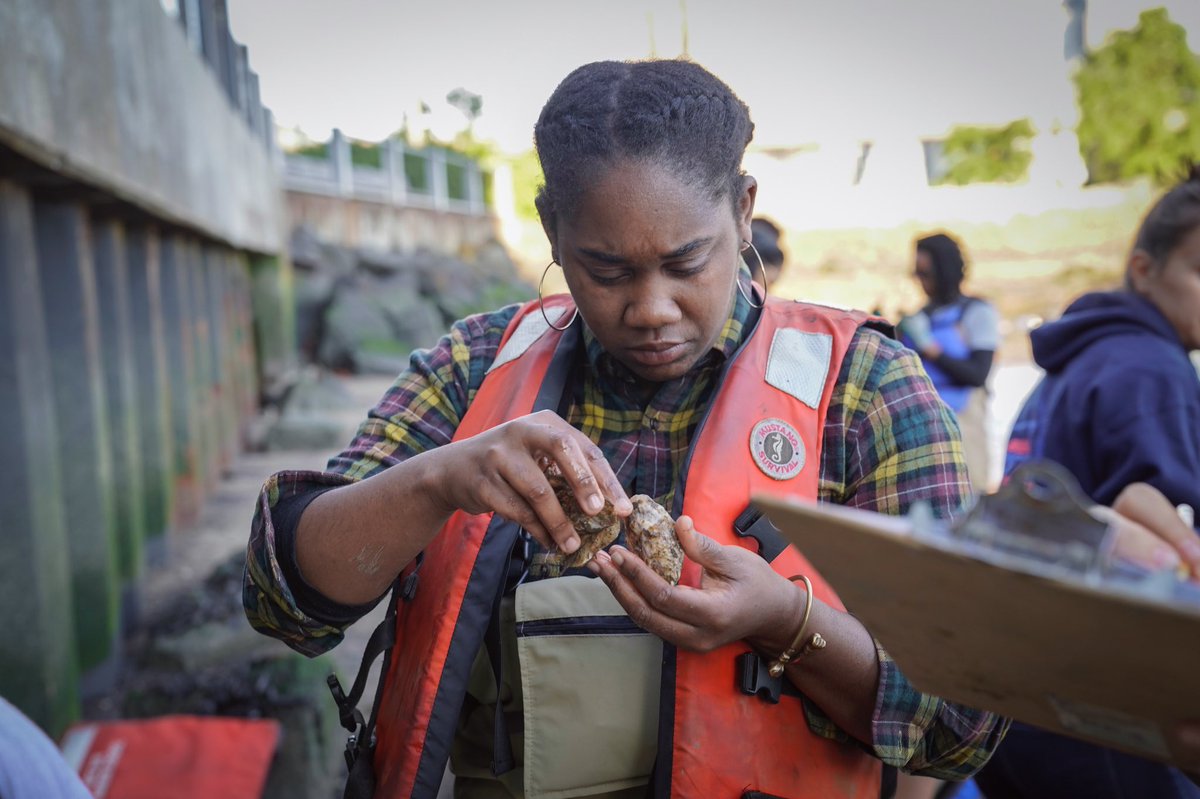 BillionOyster's tweet photo. Dissolved oxygen and salinity might be second nature to @harborschool students, but it’s the perfect time for the rest of us to test our #oyster, organism &amp; water quality IQ! Take our new quiz: https://t.co/QV2J8uYEgR #wednesdaywisdom #nyharbor 📷 @jtsuhar https://t.co/835t61lSxL