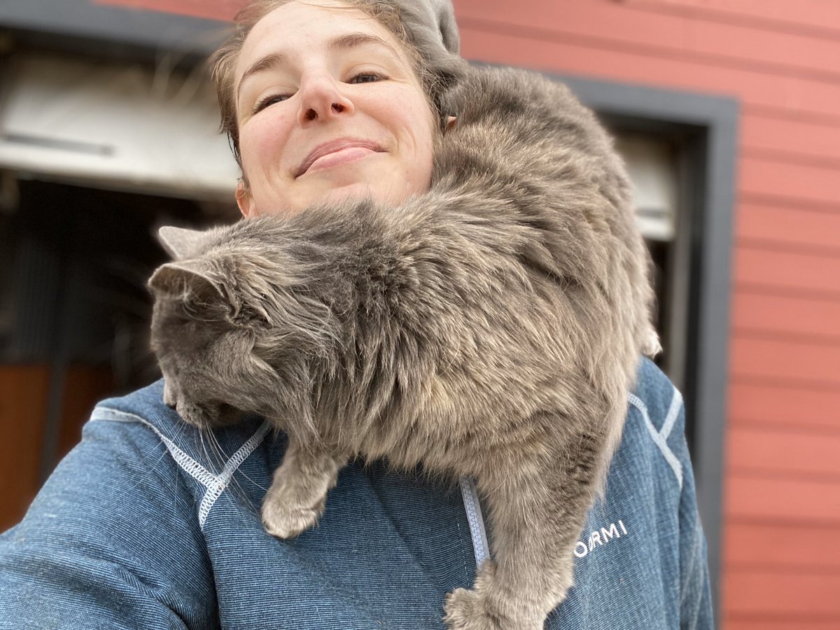 I’m really grateful y’all warned me that this is normal cat behavior because I am Spring’s climbing ladder now, I have no other purpose to her.
