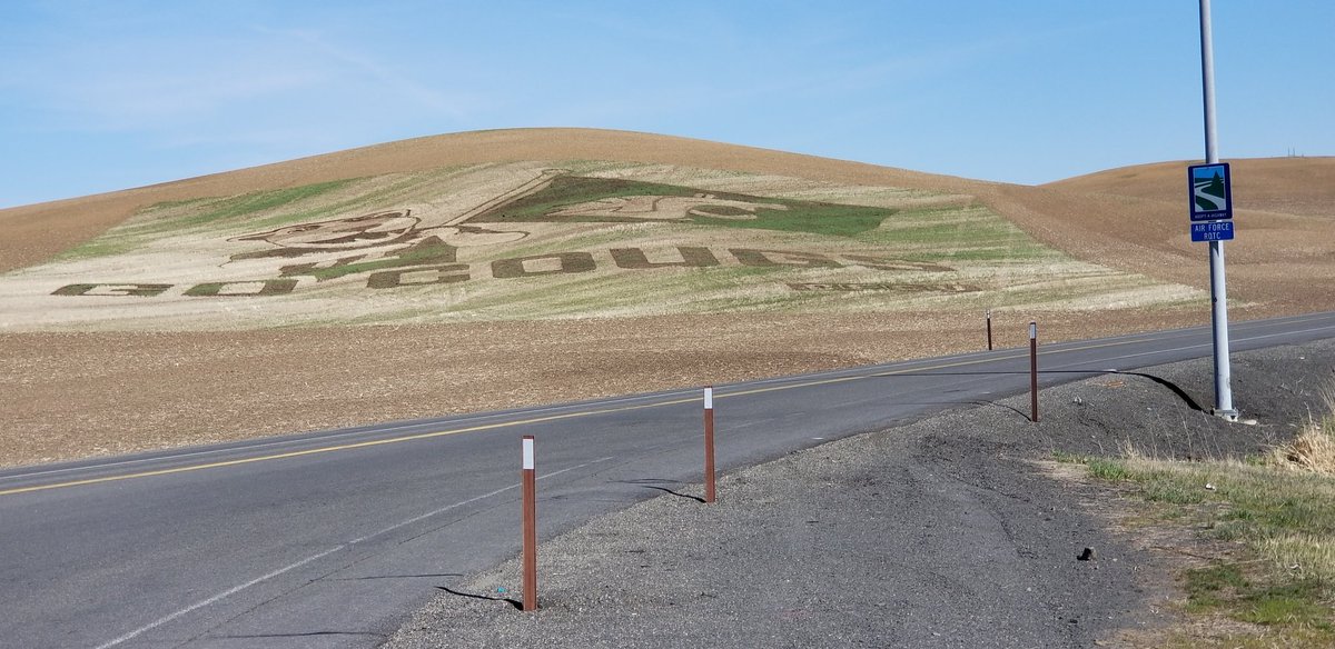 chreeves's tweet photo. welcome to pullman.
#fieldartwork https://t.co/59MuxliUKb