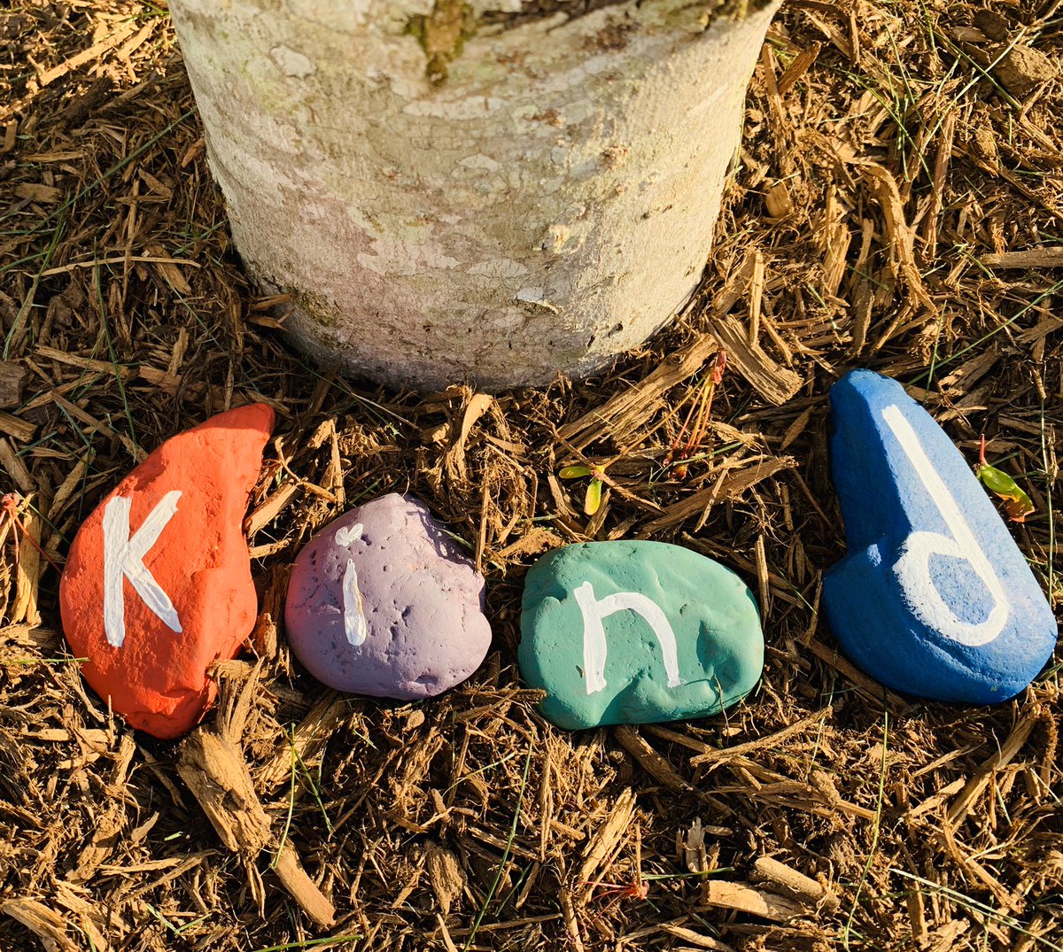 Miss Chrisman tweet media