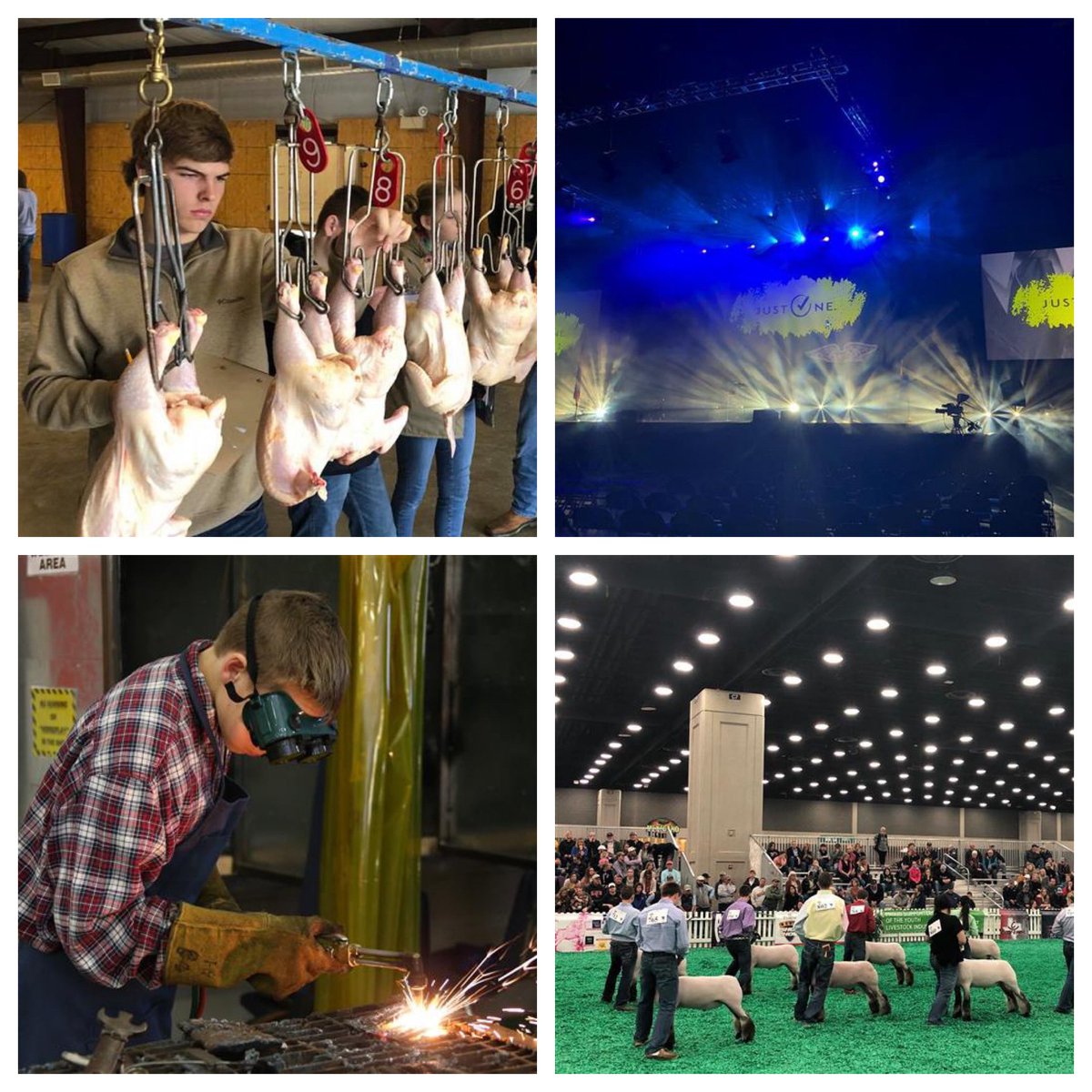 Hey AR FFA!  Miss being at your favorite FFA event?  Make your next zoom meeting better by saving one of these as your virtual background &amp; help keep us all connected through FFA! 

Visit the following link to download yours today: 

 arkansasffa.org/naturallyffa/A…