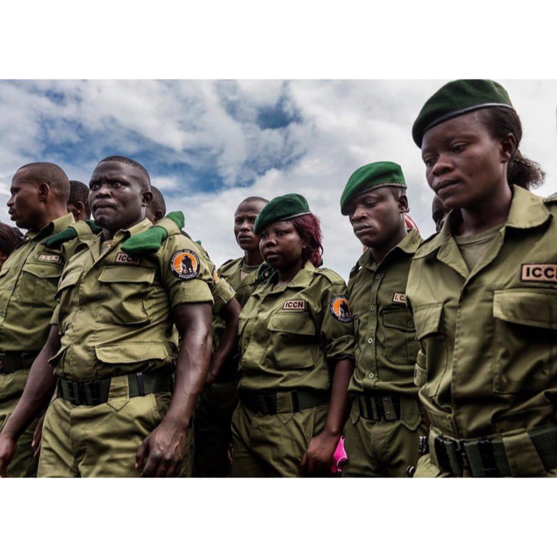 The 700 men and women who serve as rangers in Virunga spend their days and nights protecting the wildlife and small group of visitors from poachers and terrorists. In 2018 the violence was so bad, the entire park had to be shut down.