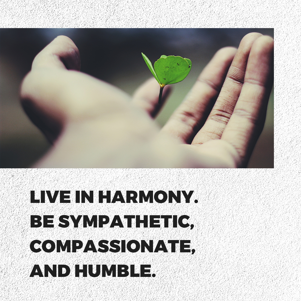 BishopHarry's tweet photo. God’s people should resemble their heavenly Father. Can others tell you’re related to Him? #usemegod #wisdomwednesday https://t.co/JKW8VNyIAo