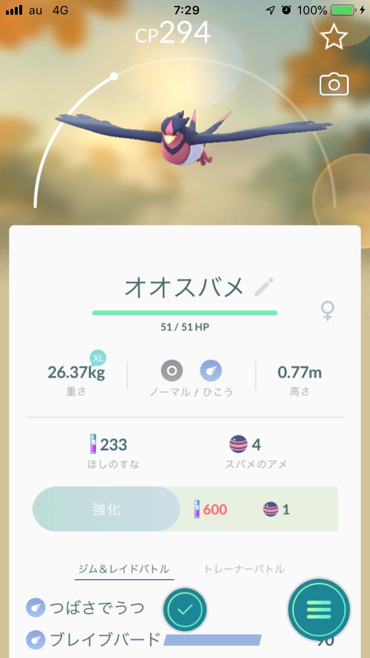 ぴあり Ar Twitter スバメが進化したよ ポケモンgo オオスバメ スバメ T Co Exj1c7regj Twitter