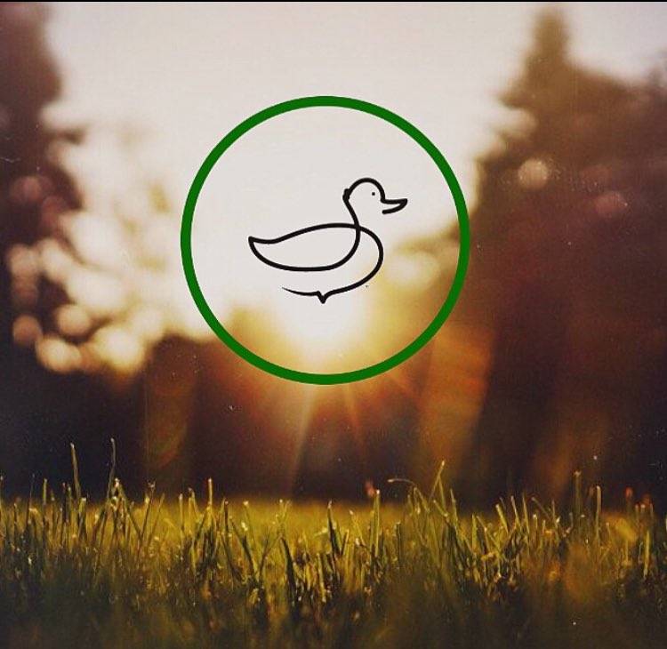 RobSchremp's tweet image. Standing as a symbol of support for those fighting the battles that nobody can see. I’m very excited to announce that I will be joining the Ducky Brand Family🦆#StandForMore #MentalHealthAwareness
@DuckyBrand