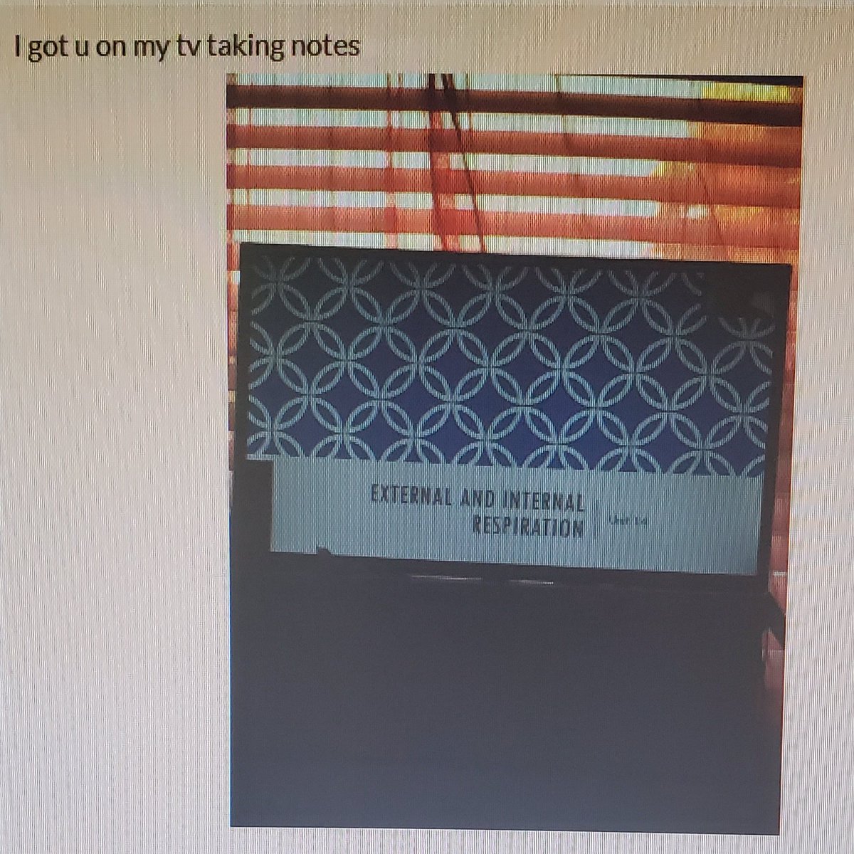 teach_me24's tweet image. That's definitely one way to take those notes. My students crack me up! Gotta love em😂 #tkanatomy #tkbio #scienceteacher #elearning #Imisstheirfaces #notesandchill