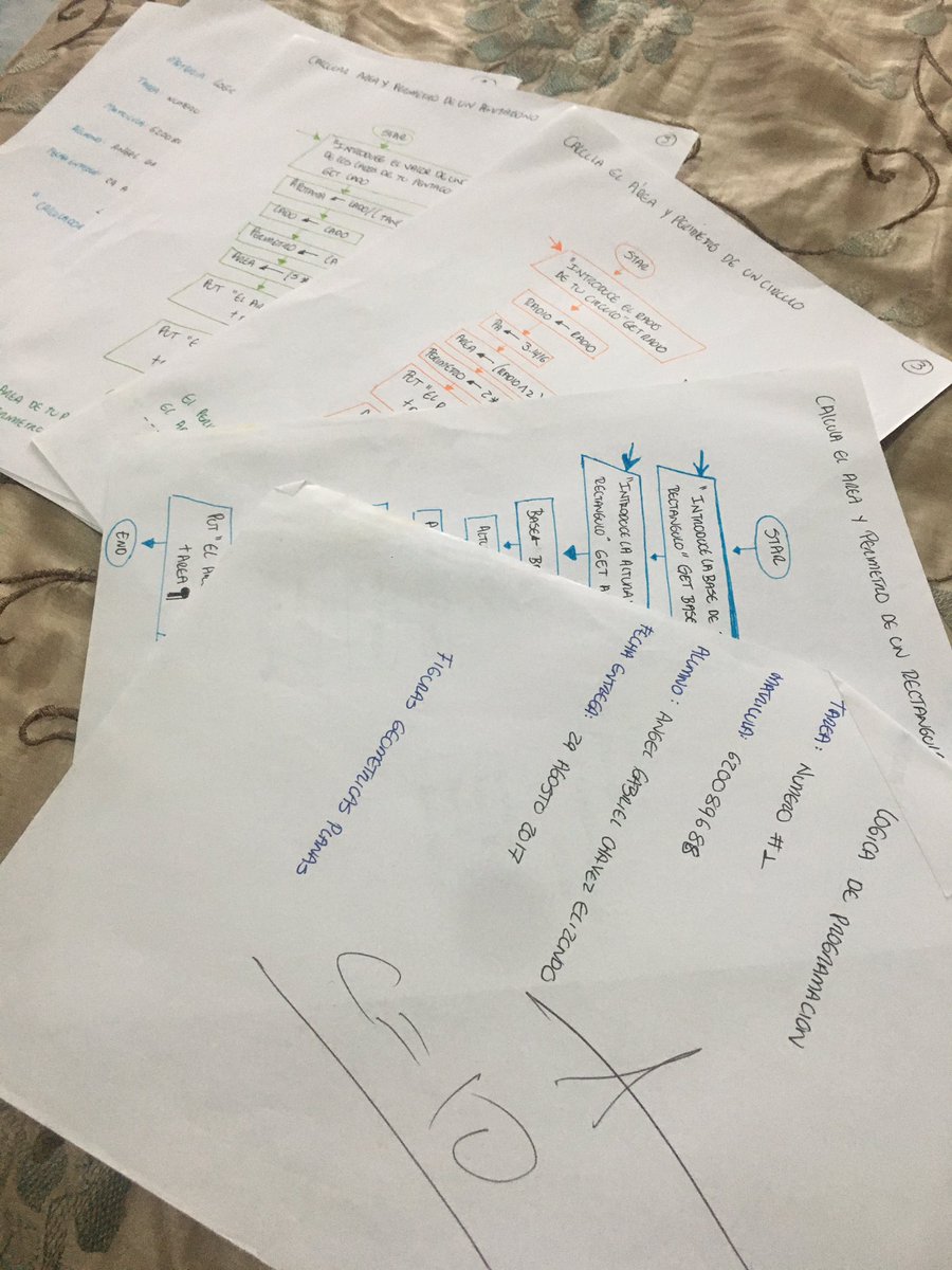 AngelGCE's tweet image. Me acuerdo cuando empecé el 1 semestre de mi carrera, lleve una materia llamada “#LógicaDeProgramación” yo la veía súper inecesaria, porque según yo “sabía programar” y no me gustaba tener que escribir los diagramas en papel, yo quería ir directo a teclear el código. #MyPride