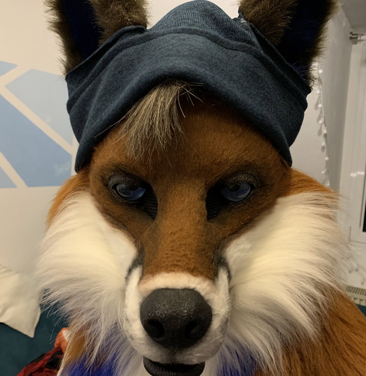 nov_craft's tweet photo. We went to NFC this year and @FuzzyFox_  needed some warm beanie for his head, I think it turned out really cool. What do you think ? https://t.co/bpQ9sMI1BU