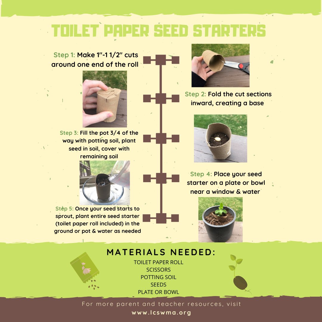 How You Can Use Toilet Paper Tubes In Your Garden 