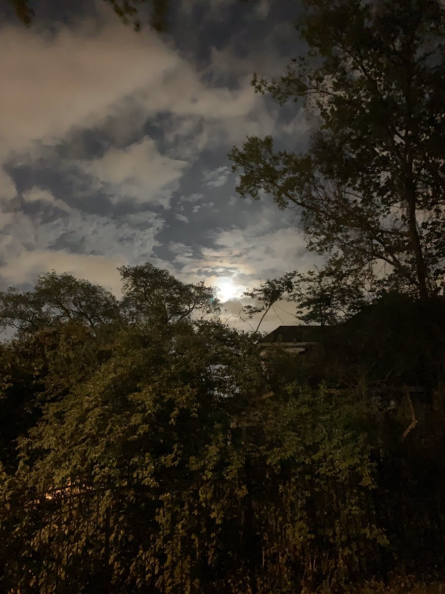 Hayes Carll tweet media