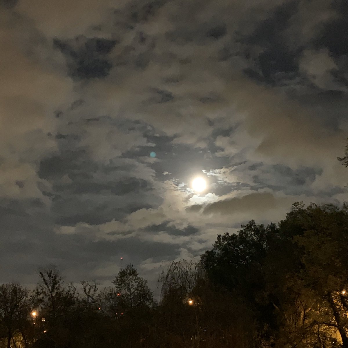 Hayes Carll tweet media