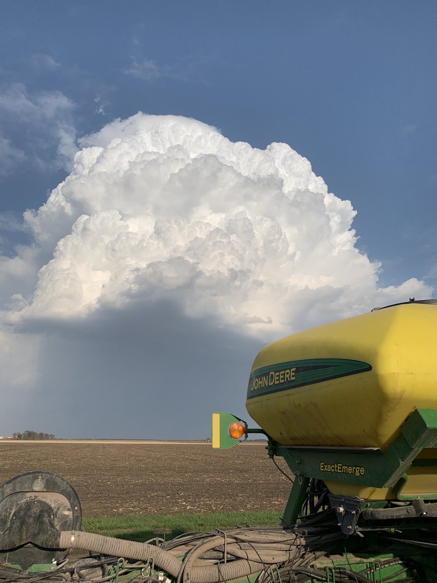 David Mulch tweet media