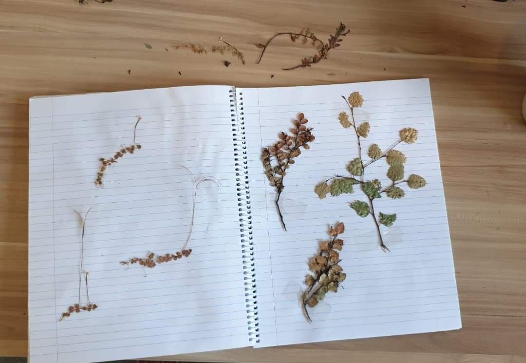 📣DAY 4 LOCKDOWN GIVEAWAY📣
 
For your very own Critter of the Week tee: Comment on Day 4’s FB post (link in bio) - a photo of how you have been connecting to nature from inside your house while on lockdown. 

E.g. I have been sticking my pressed plants into my plant notebook